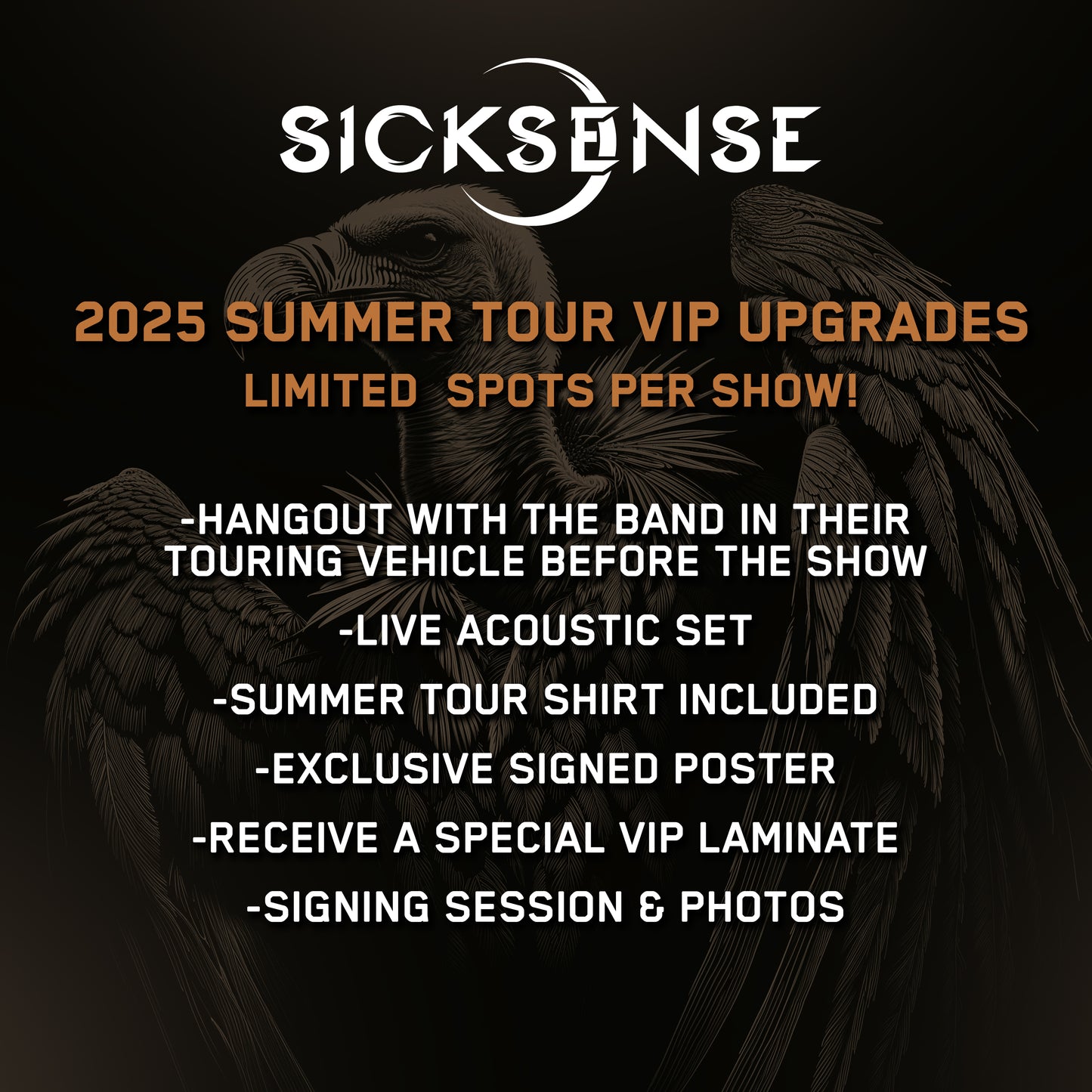 2025 Summer Tour VIP Upgrades